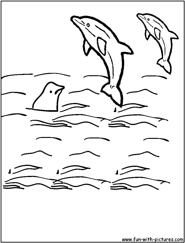 Orca Coloring Page 295036 Killer Whale Coloring Page