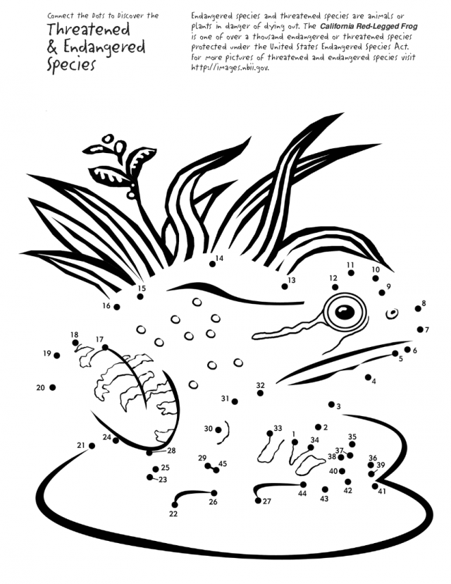 Leap Frog Coloring Pages Frog Art Center Kids Coloring Pages 