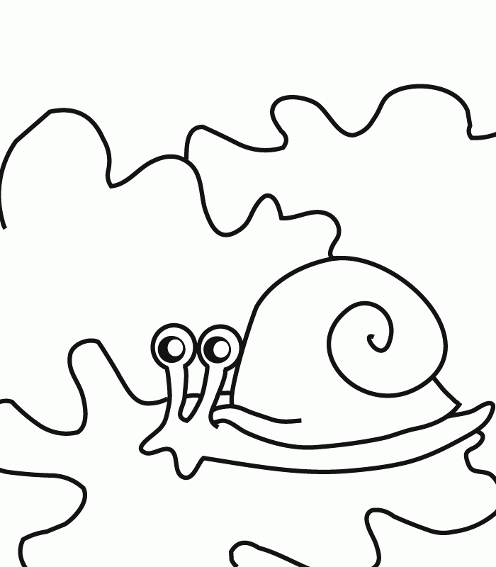 Coloring snail