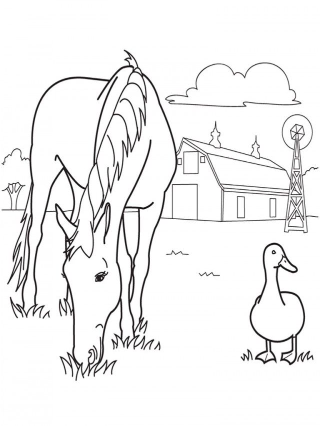 Coloring Pages Spirit The Wild Horse Picture Wild Horse Coloring 