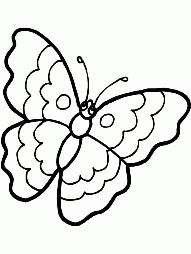 Pictures Of Butterflies To Print And Color Sad Face Butterfly 