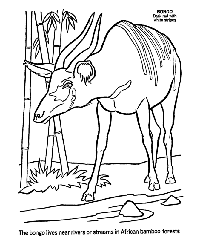 media tags coloring pages toy story