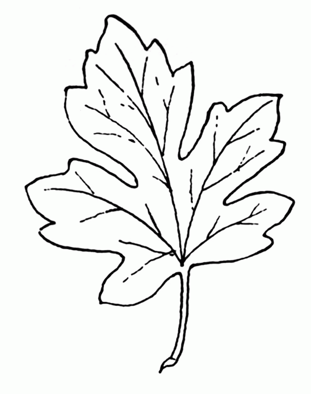 Autumn Leaves Coloring Pages Fall Leaves Coloring Pages Wallanu 