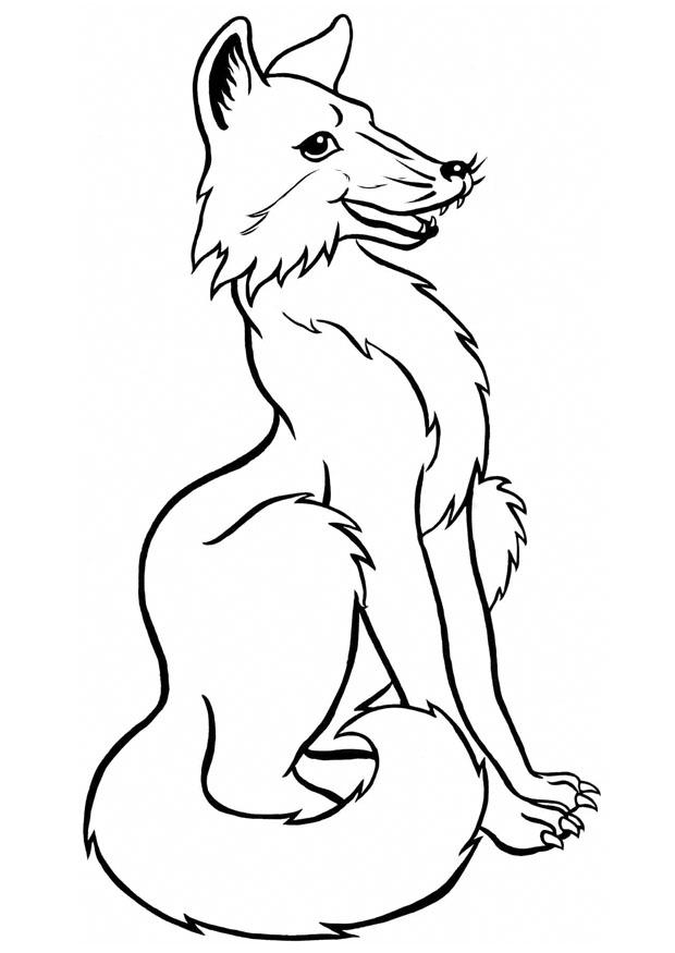 Arctic Fox Coloring Page | Coloring