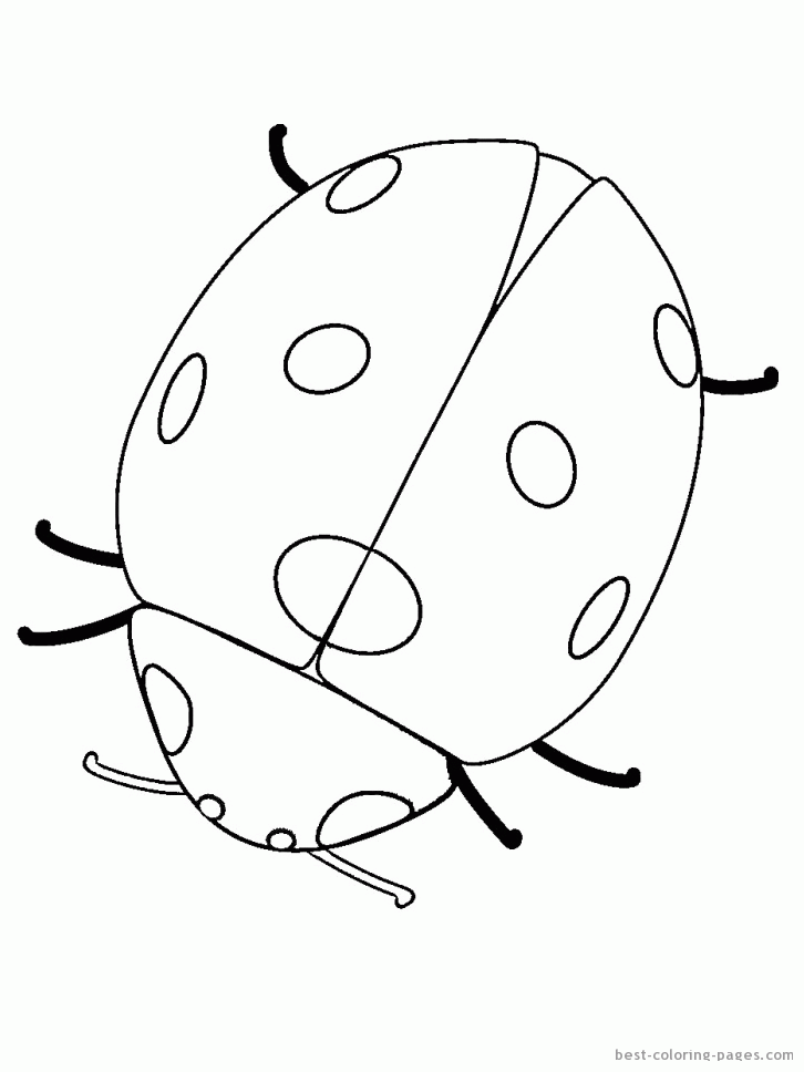 Ladybug coloring pages | Best Coloring Pages - Free coloring pages 