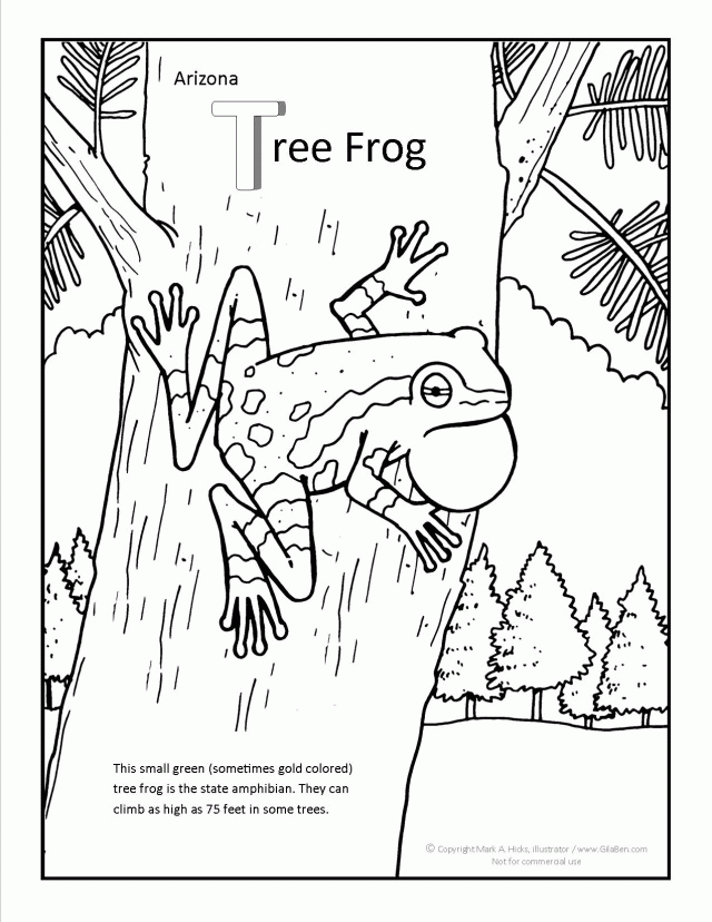 Tree Frog Coloring Pages Coloring Book Area Best Source For 212563 