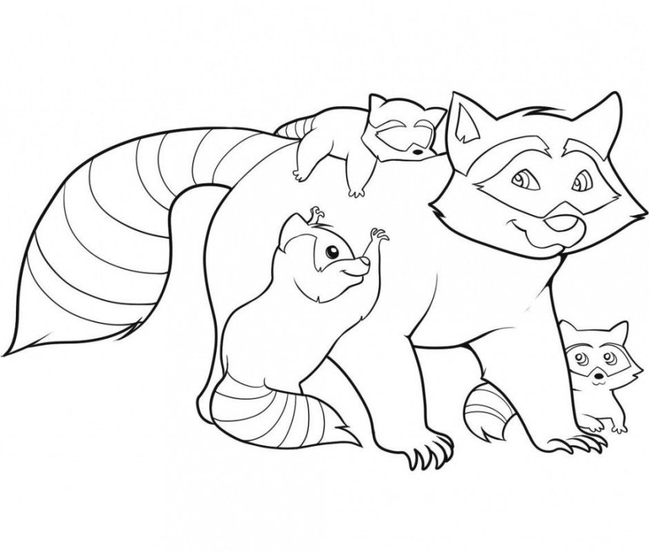Raccoon Coloring Pages Hagio Graphic 185995 Racoon Coloring Page