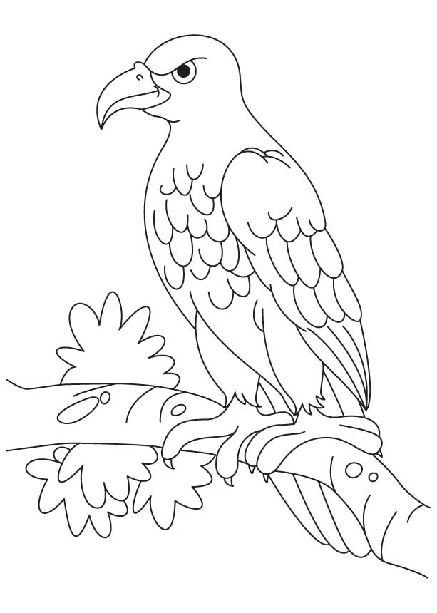 An angry eagle sitting coloring page | Download Free An angry 