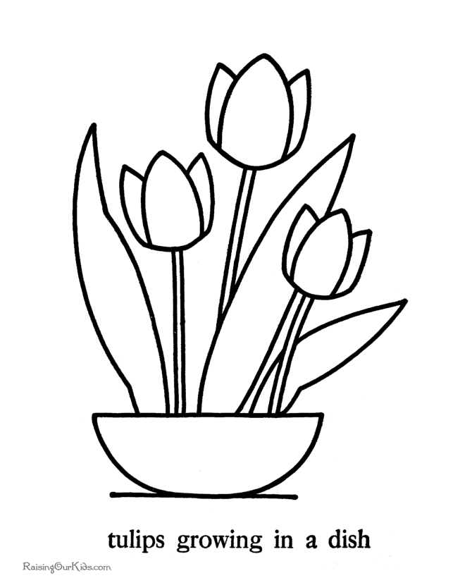 Tulip Coloring Pages Coloring Home