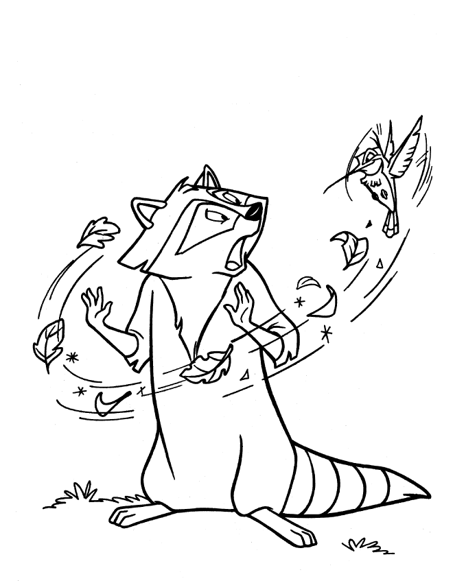 Drawing of the raccoon in Pocahontas Coloring ~ Child Coloring