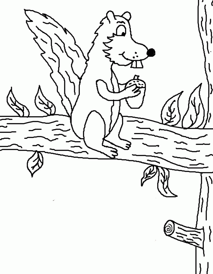 Squirrel Pictures To Print - Coloring Home
