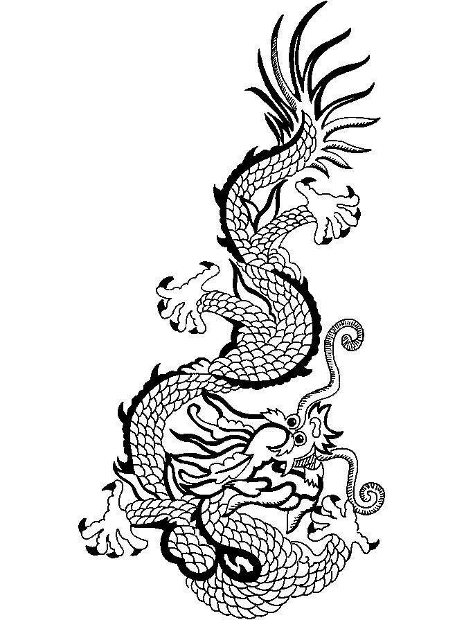 Chinese Dragon Pictures