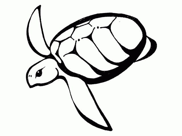 Turtle Tattoo Outline | Eyecatchingtattoos. - Coloring Home