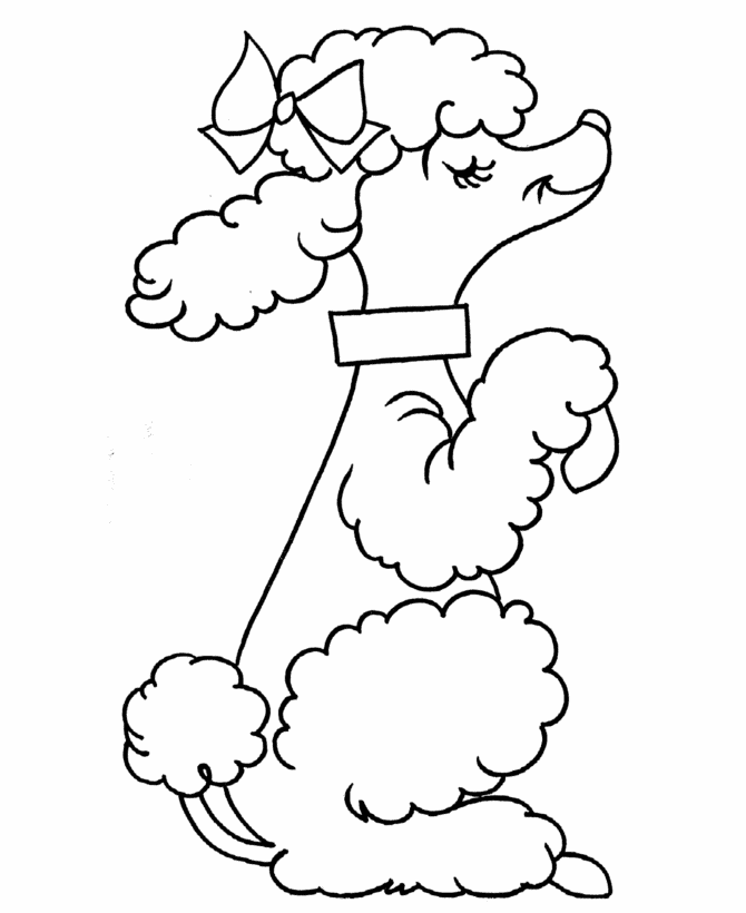 Poodle Drawing : Poodle Coloring Pages Printable Coloring Book 