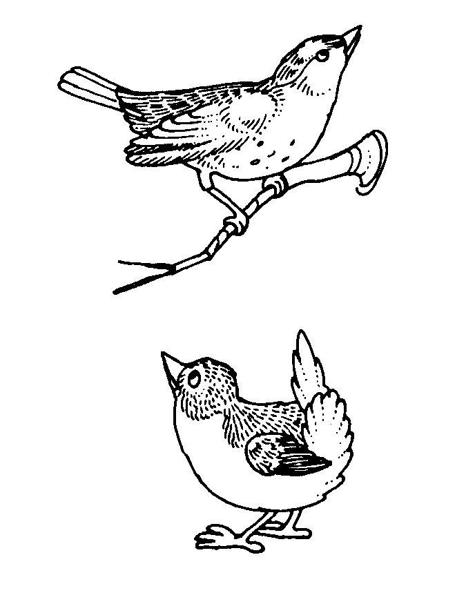 Download Cute Bird Coloring Pages - Coloring Home