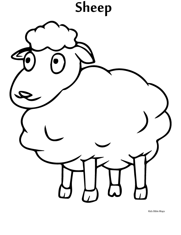 Sheep - Printable Coloring Book Image (Kids Bible Maps)