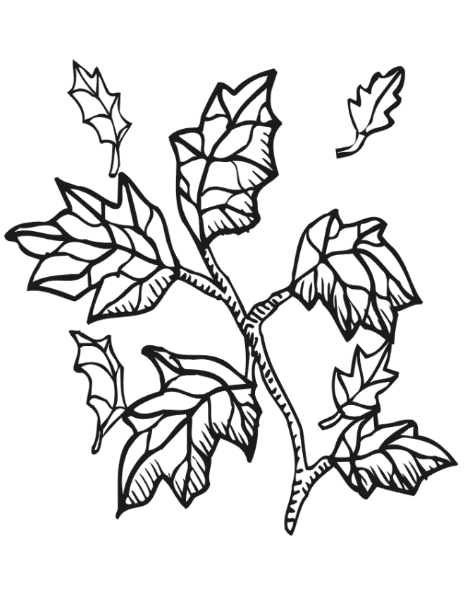 autumn leaves coloring page fall