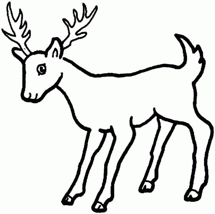 Bone Coloring Page Educations