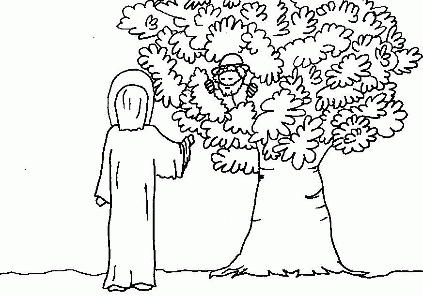 Zacchaeus Coloring Pages | Coloring Pages
