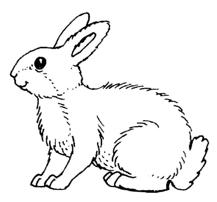 Small Rabbits Are Silent Coloring Page | Rabbits Coloring Page | Pint…