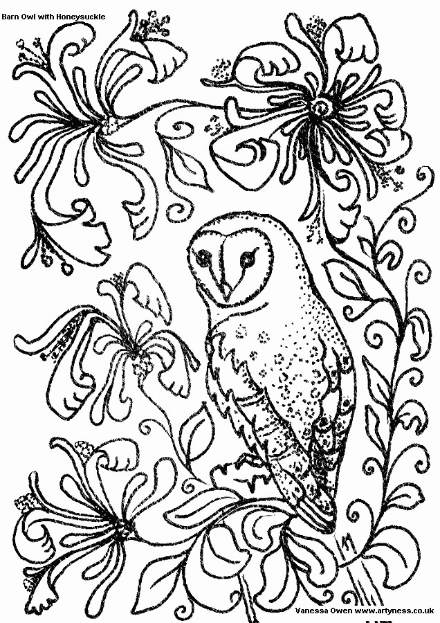 owl aboridginal kids Colouring Pages (page 3)
