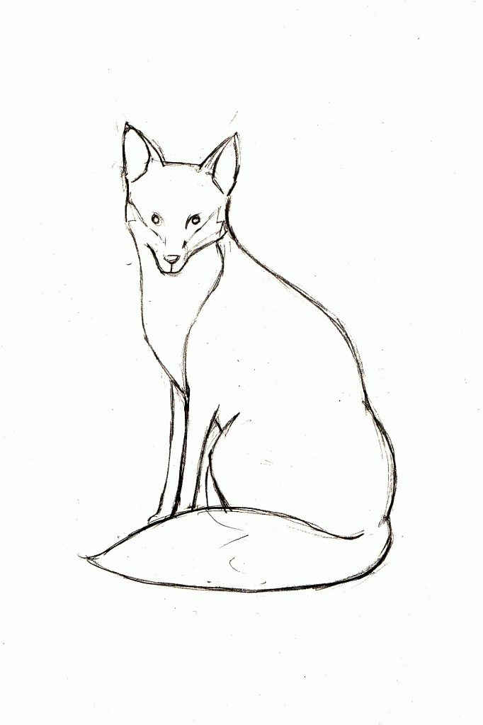 Fox sketching | Lamb&Fox