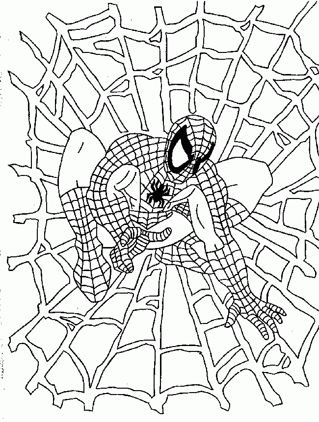 Spiderman Drawing Pictures Coloring Home