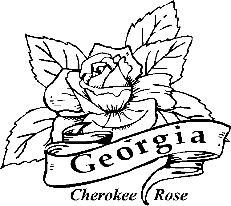 georgia state bird Colouring Pages