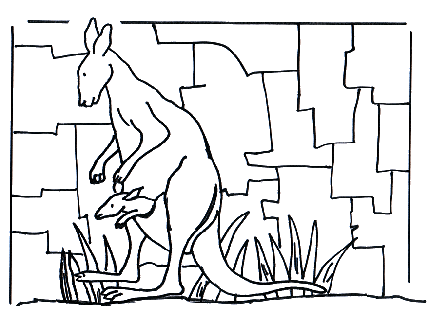Kangaroo 1 - Zoo