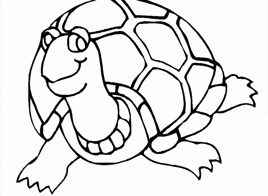 Download Very Interesting Turtle Coloring Page Or Print Very 