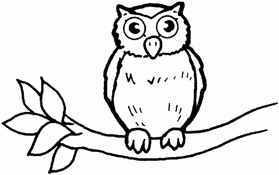 Owl Coloring Pages For Kids | Coloring Pages