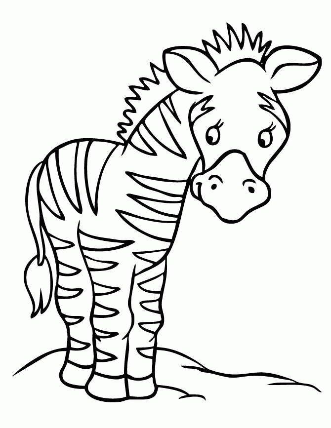 Zebra Pictures To Print - Coloring Home