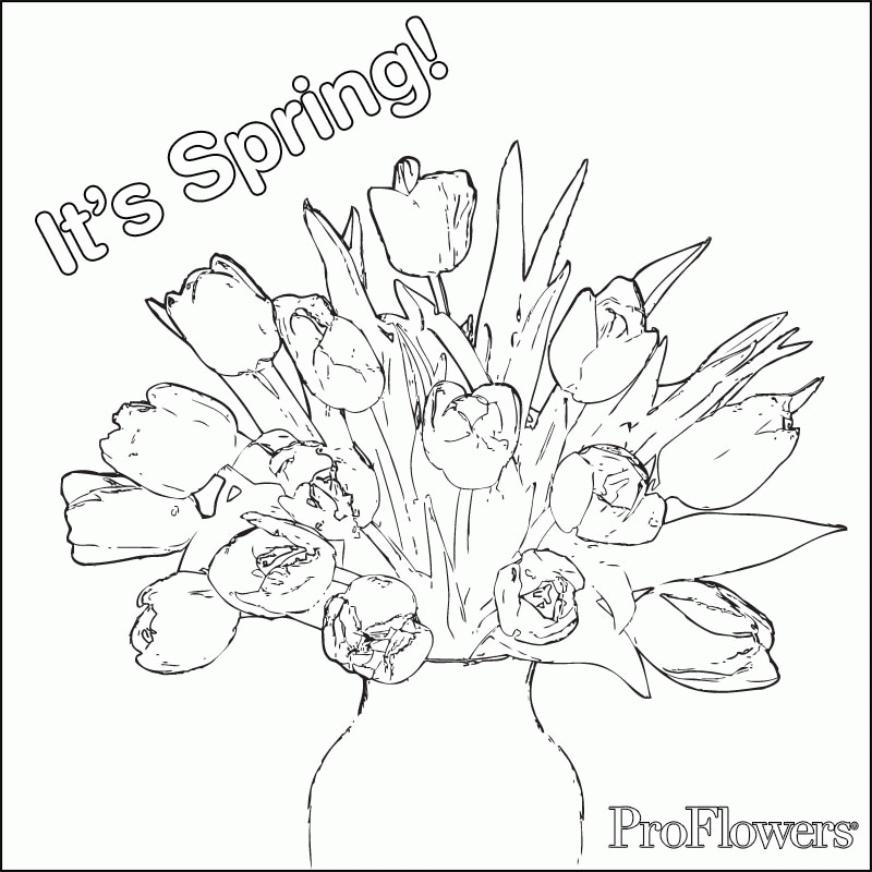 poflowers Colouring Pages