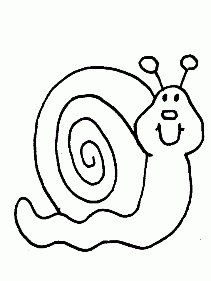 picture-of-a-snail-coloring-home