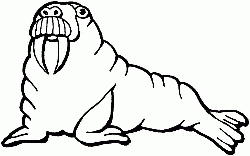 Walrus Coloring Pages - Free Coloring Pages For KidsFree Coloring 