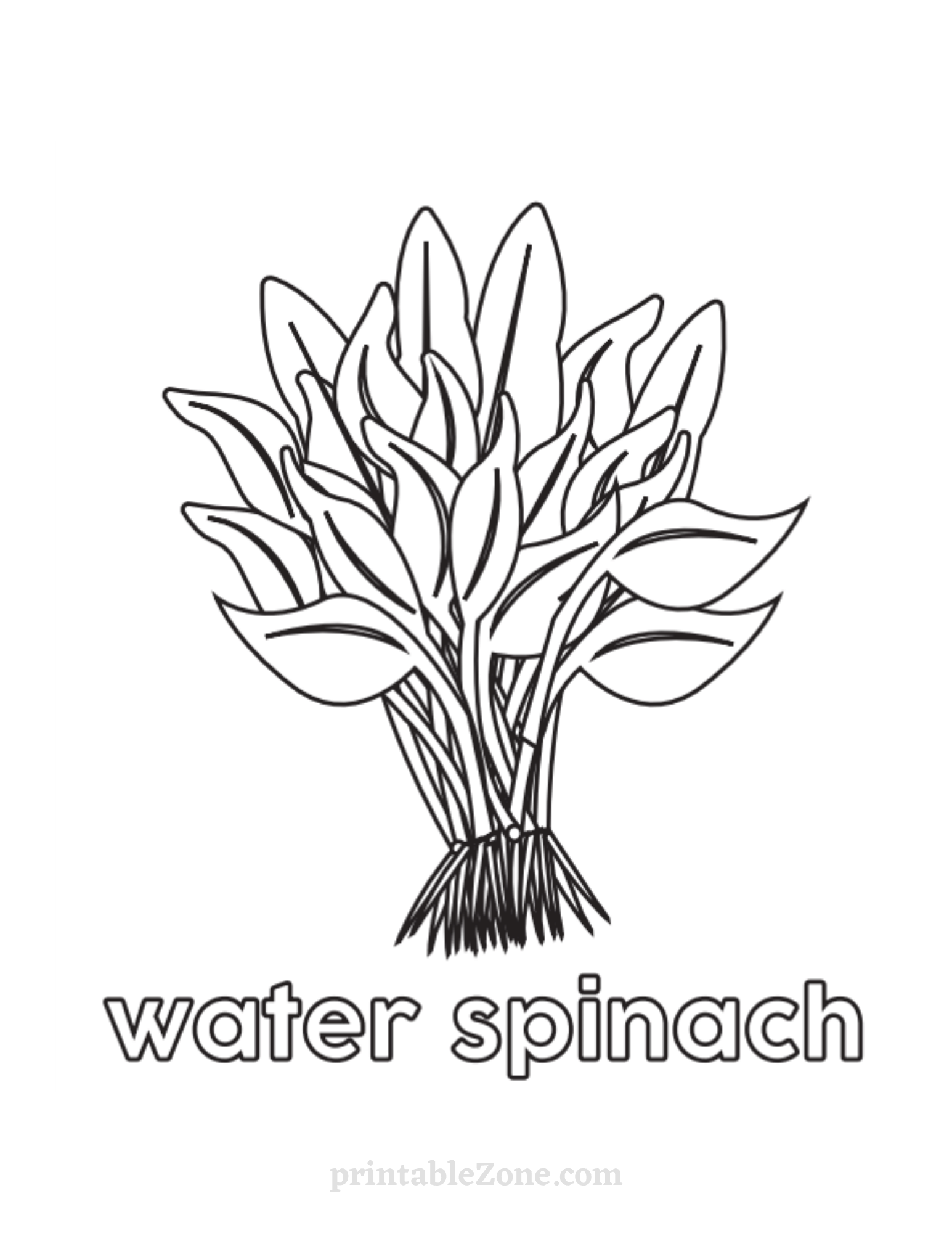 Water Spinach - Vegetable Coloring Page for Kids - Printable Zone