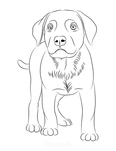 Realistic Dogs Coloring Pages - Coloring Home