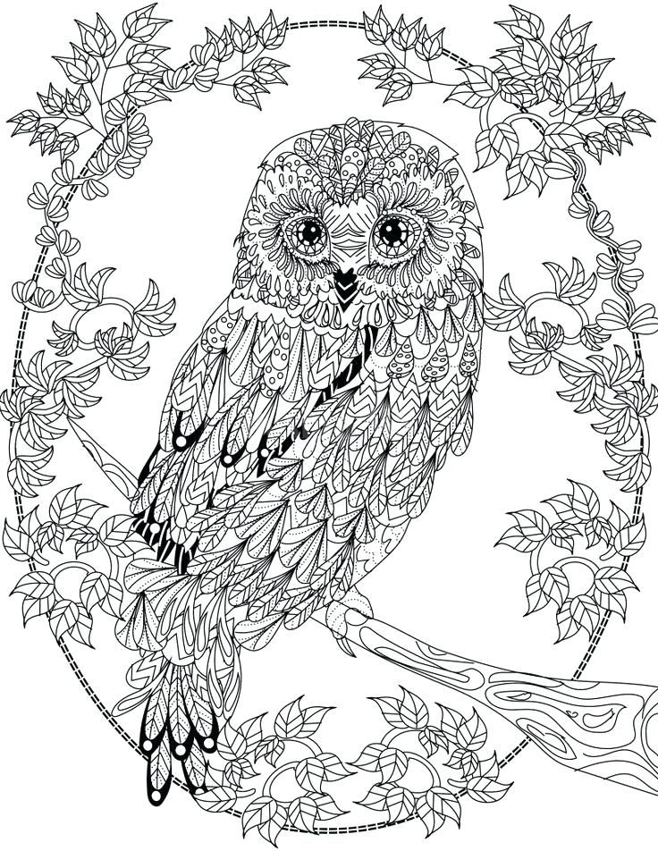 Animal Mandala Coloring Pages - Best Coloring Pages For Kids | Animal  coloring pages, Detailed coloring pages, Owl coloring pages