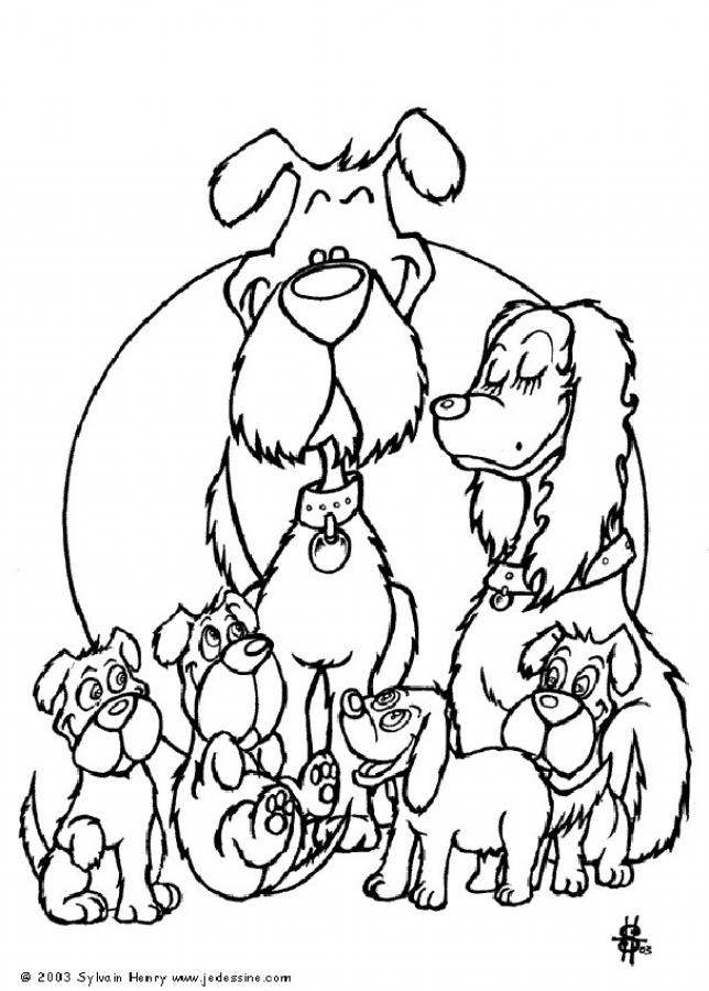 DOG coloring pages - Fox terrier family