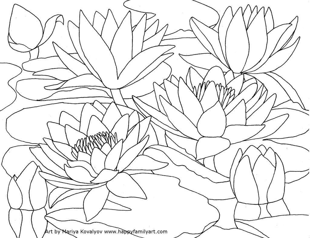 WaterLilies - Happy Family Art | Coloring pictures, Flower coloring pages,  Cool coloring pages