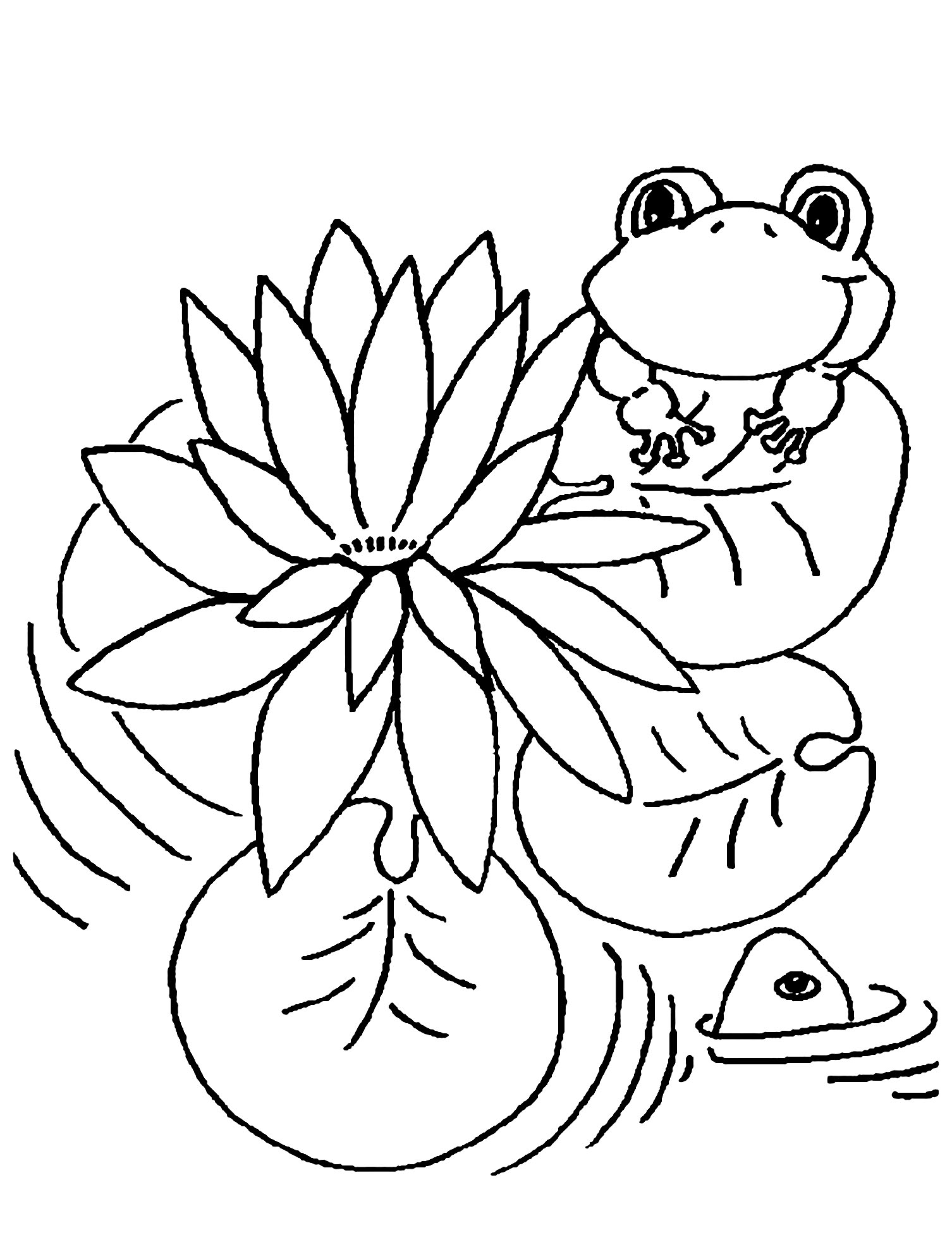 Frog on lily pad coloring page Lovely Lily Pad Coloring Page New  Conventional Lily Pad Coloring Page - Frogs Kids Coloring Pages