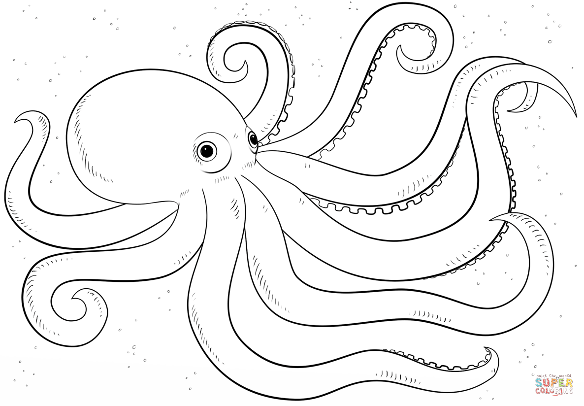 Cartoon Octopus Coloring Page   Free Printable Coloring Pages ...