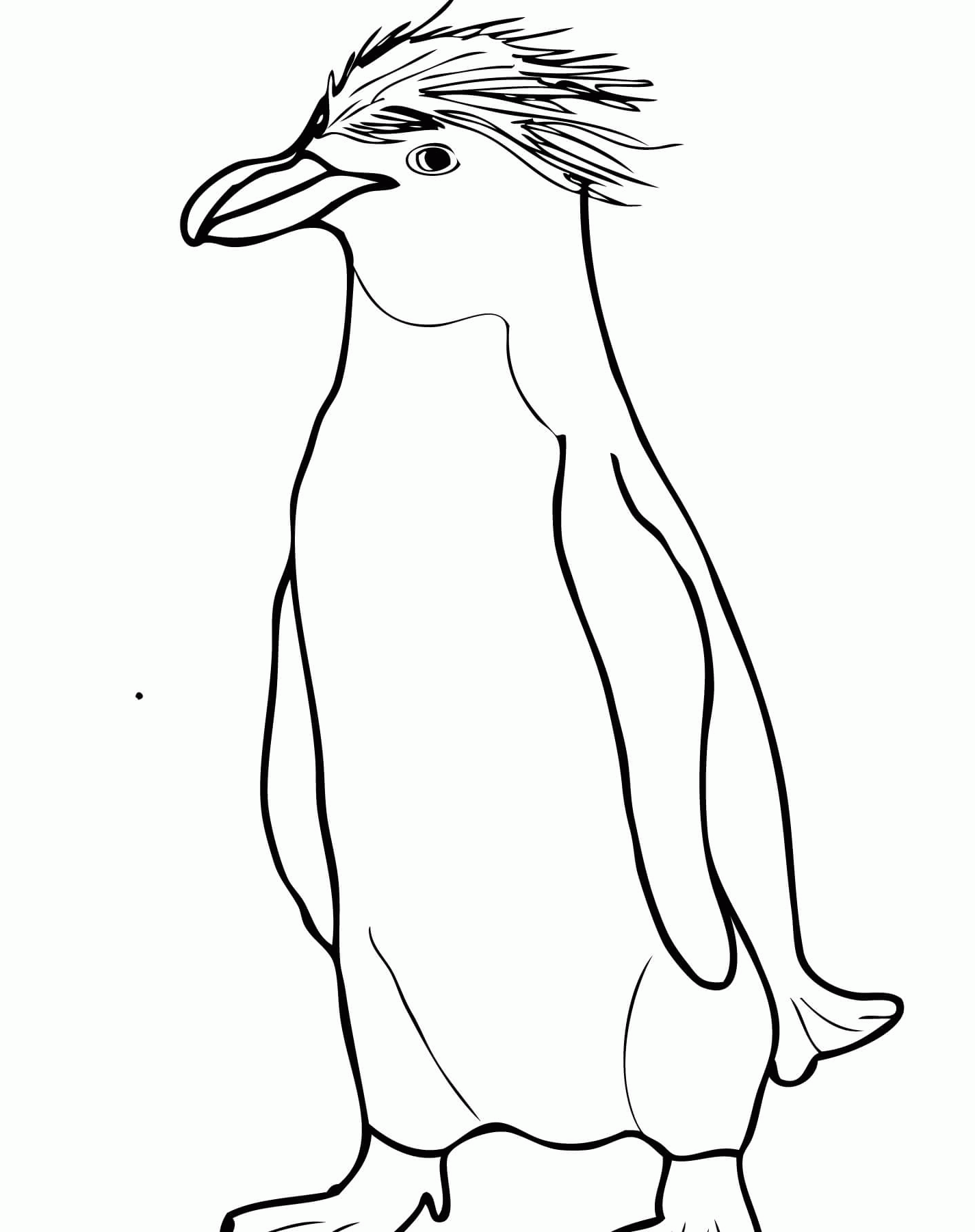 Королевский Пингвин раскраска