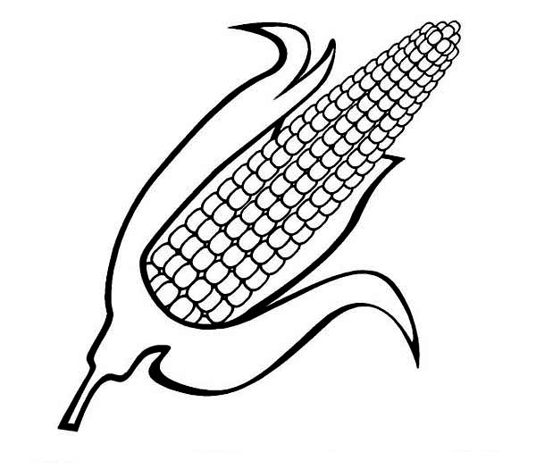 corn coloring pages - Clip Art Library
