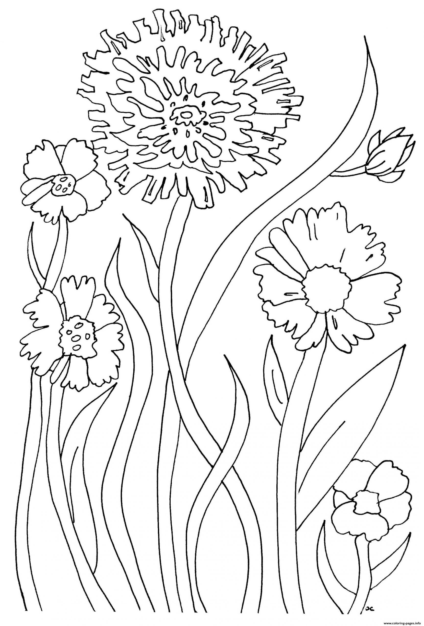 Relaxing Coloring Pages For Kids Sheet Simple Flowers Adultle ...