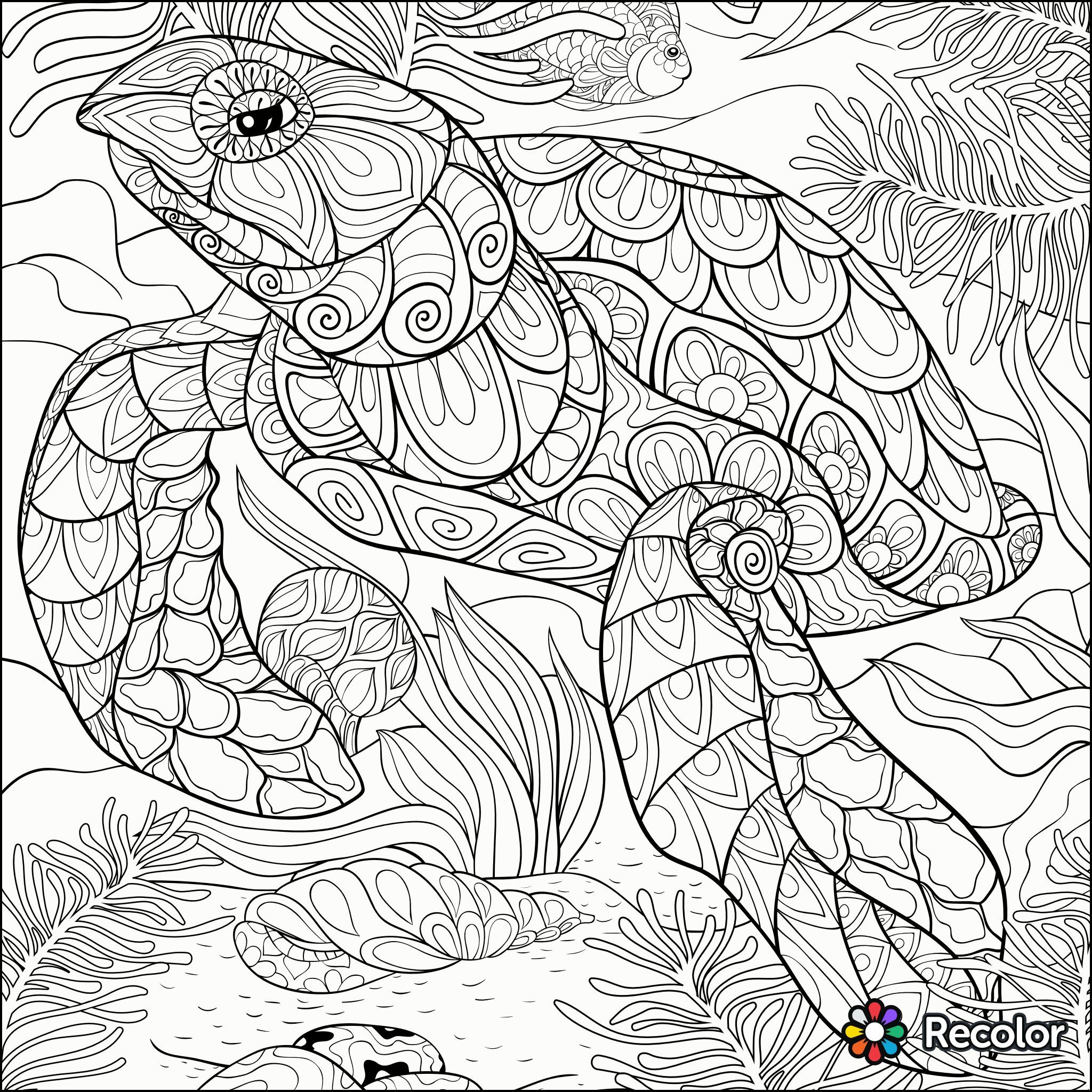 Turtle Coloring Page   Recolor App   Turtle Coloring Pages, Animal ...
