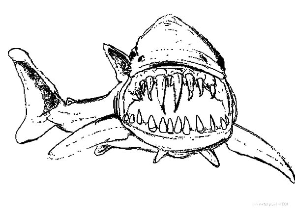 Hideous Long And Sharp Jaws Coloring Pages : Best Place to Color