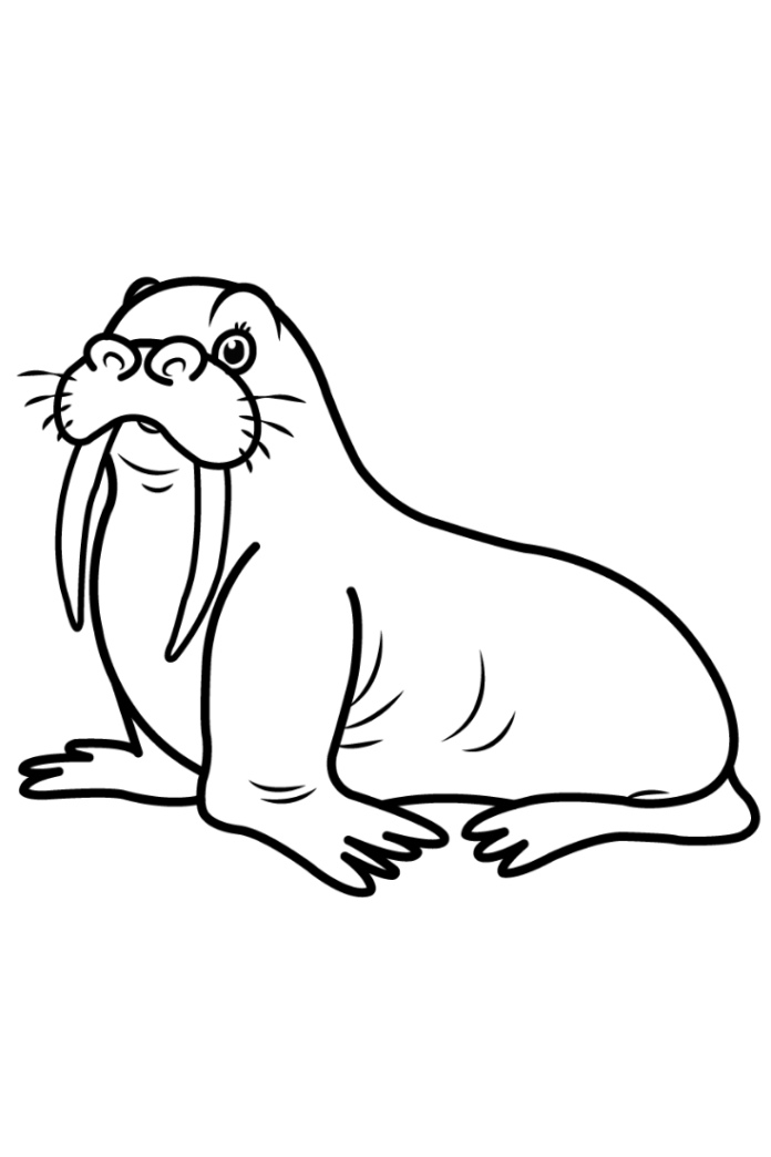 Big walrus coloring book to print and online