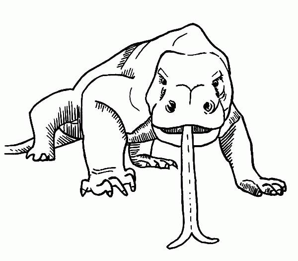 Komodo Dragon Coloring Pages Coloring Home