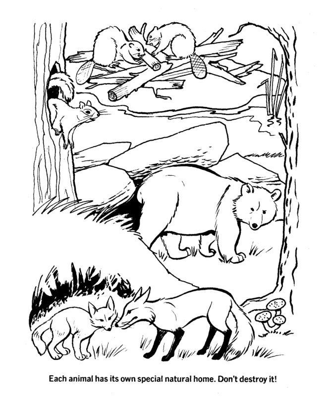Free Ecology Coloring Pages, Download Free Ecology Coloring Pages png  images, Free ClipArts on Clipart Library